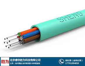 光纤与光缆 胜为品牌如何成为优质商家的核心选择